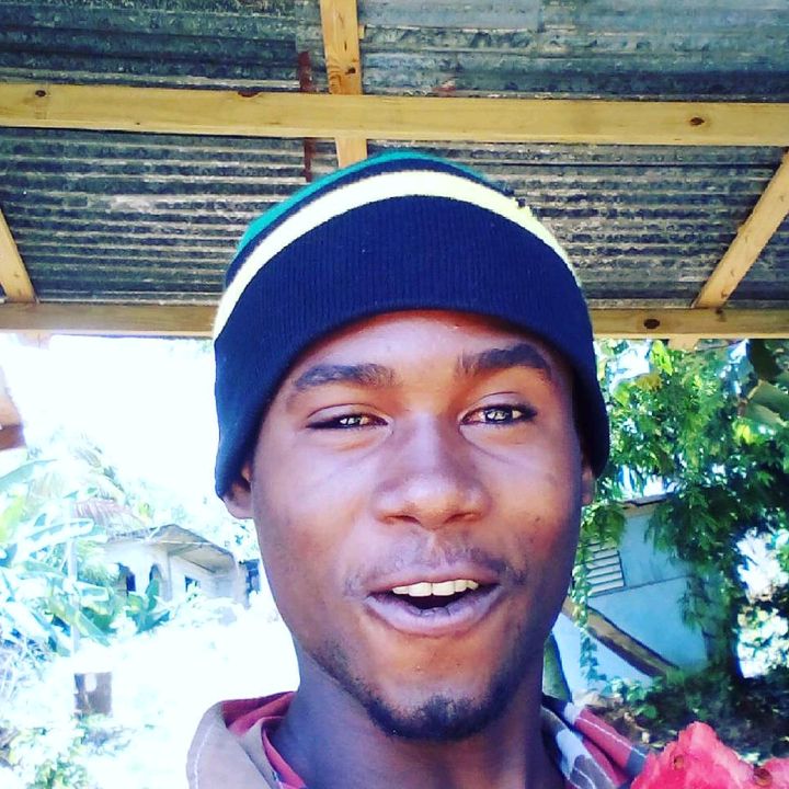 tedhigh1