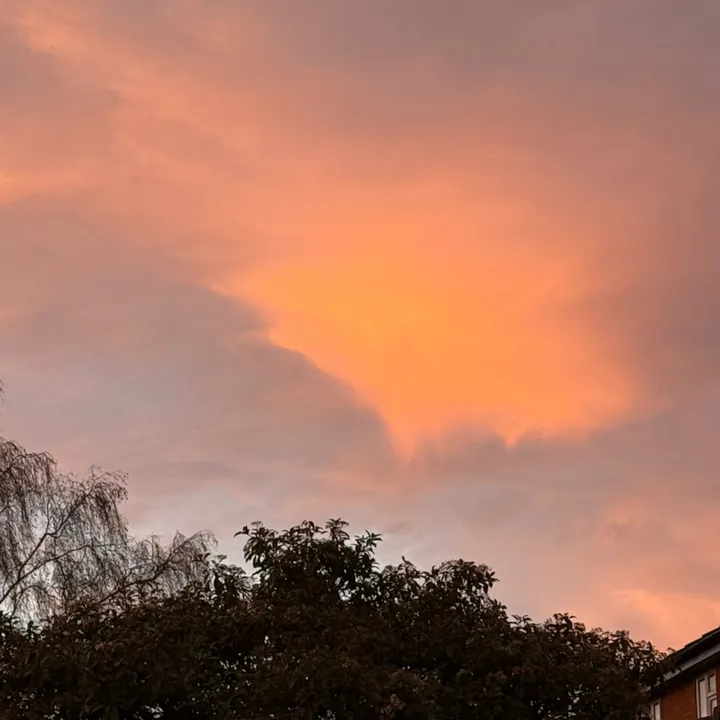 chloemummytoarlo19