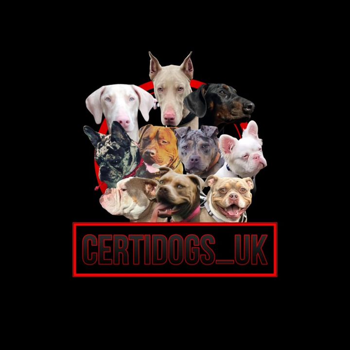 certidogzuk