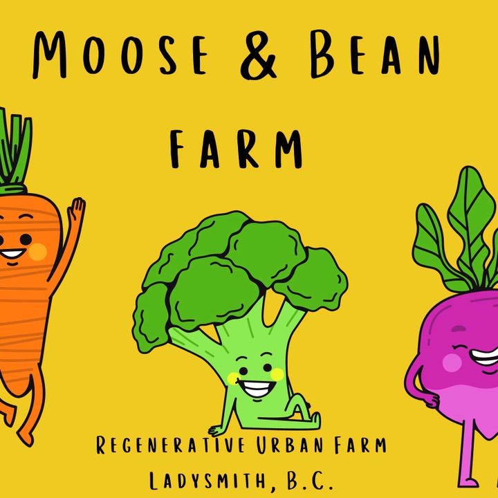 mooseandbeanfarm