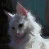 she_is_not67