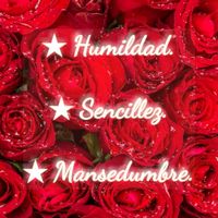 honeydarlingv86