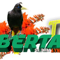 libertadaynipositiva7