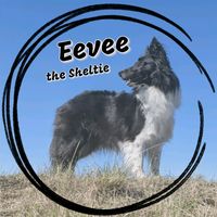 eevee_in_the_sky