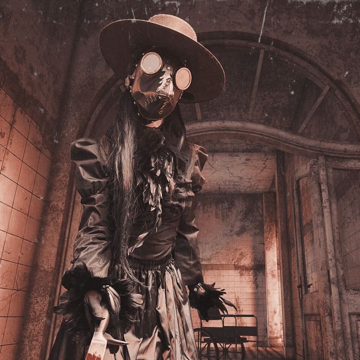 dr.corvidae