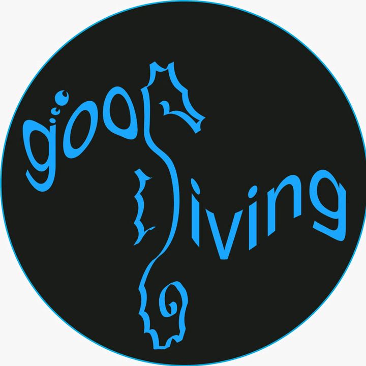 @goodivingtenerife