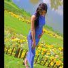 damaniavtm4