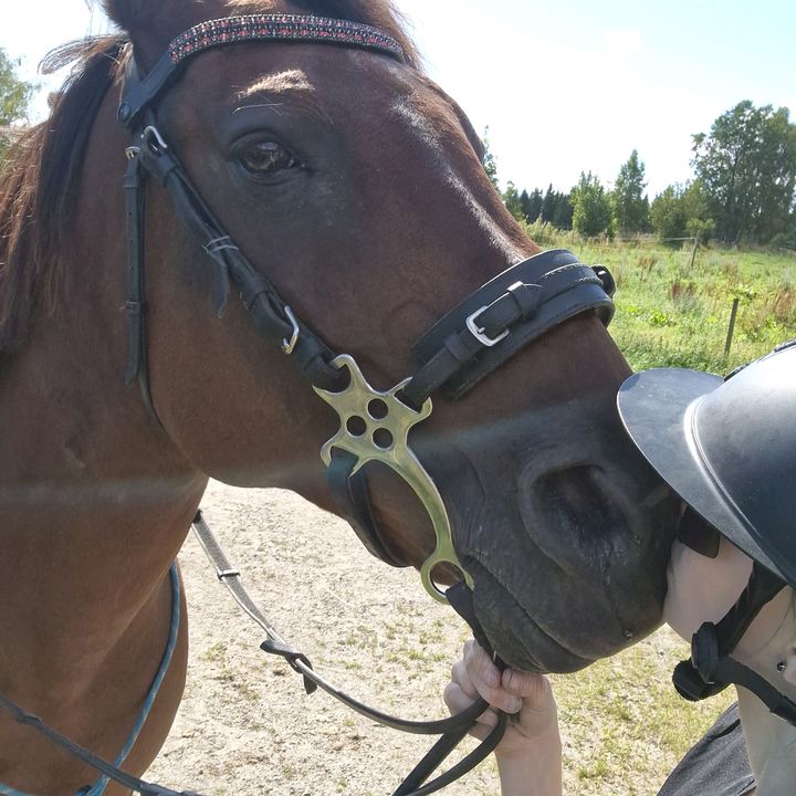equii...ellaa
