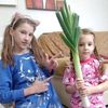 vlada_sascha