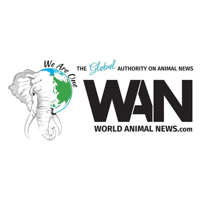 world_animal_news