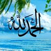 mohamedmeddeb28