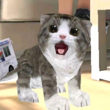 xexemeow