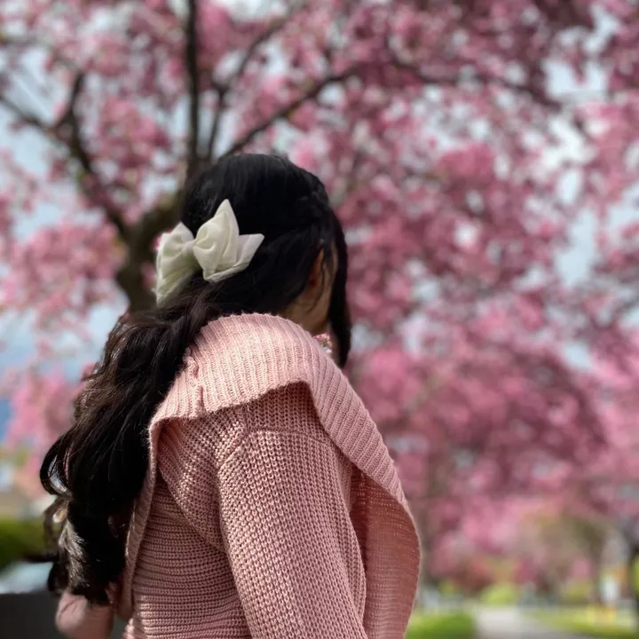@history.mae