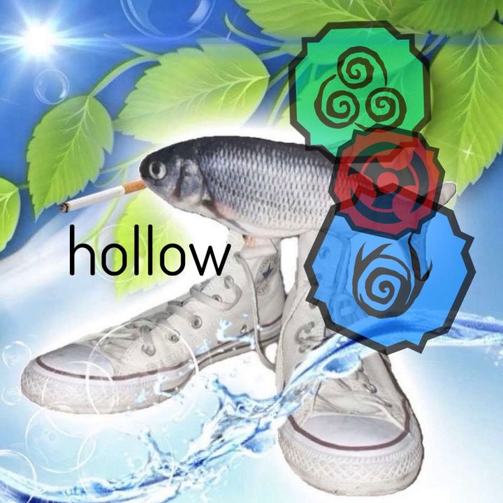 itsreally_hollow
