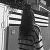 aainhoa_css
