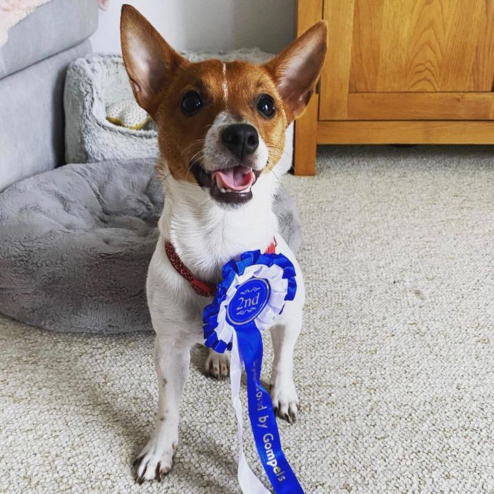@autumnthetripawd