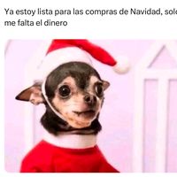 gustavoacossta