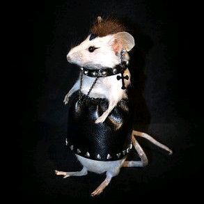 ratadark