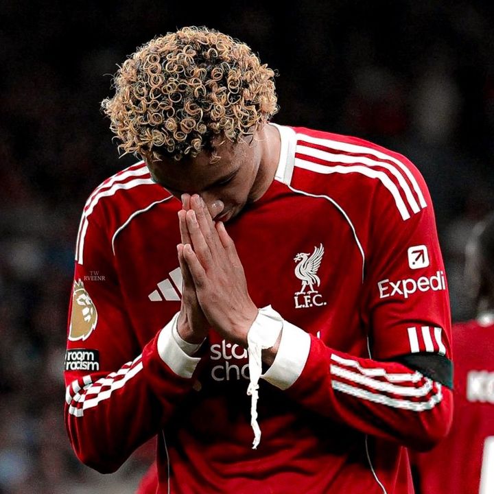 yx.lfc