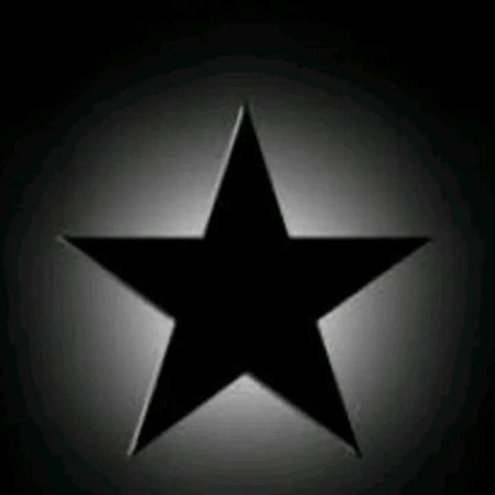 bushmeat45