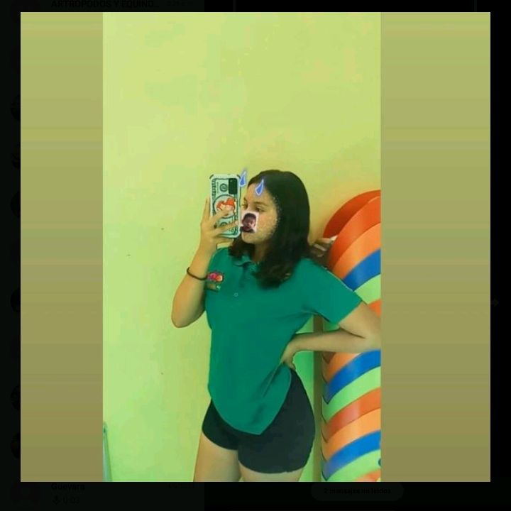 vannee473