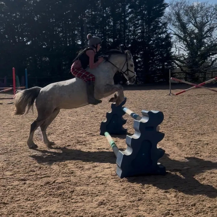 poppy.riding0