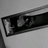 arianaveronicamartinezhe