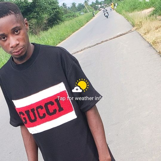 wizboy312