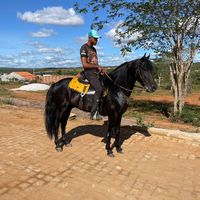 guilhermeferreirabsb