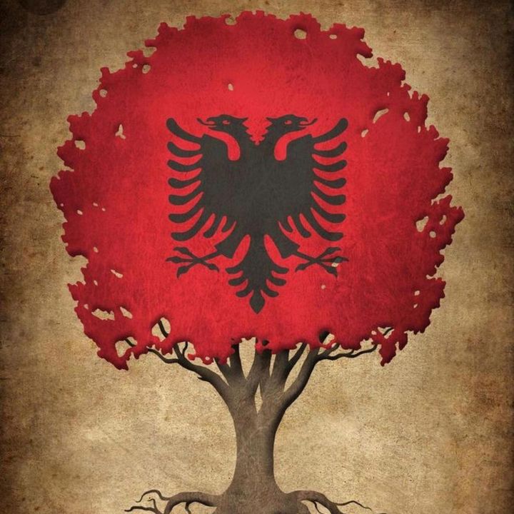 nevruzkrasniqi1977