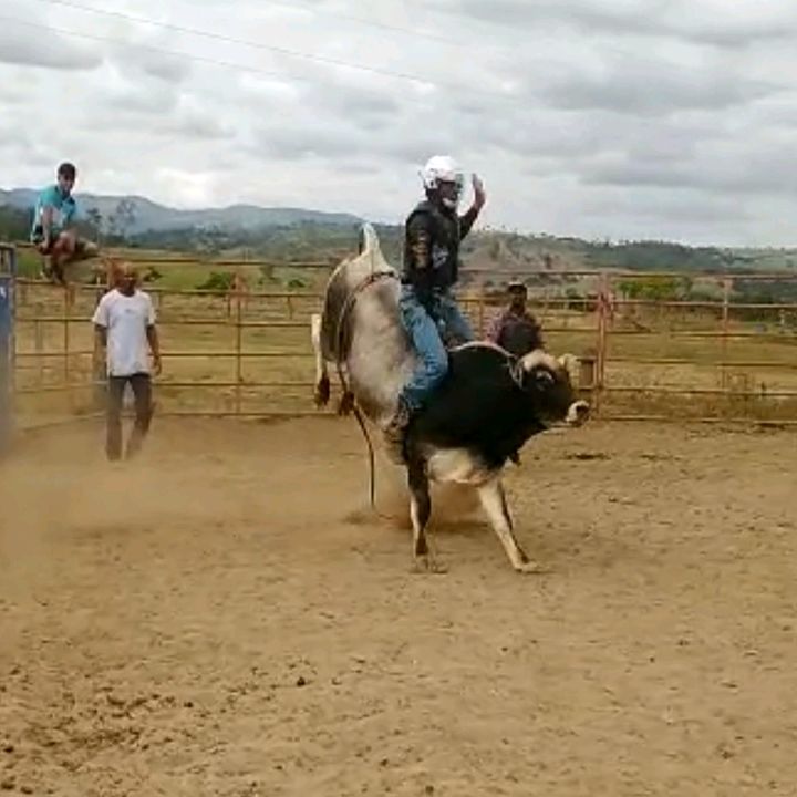 victor_._2006