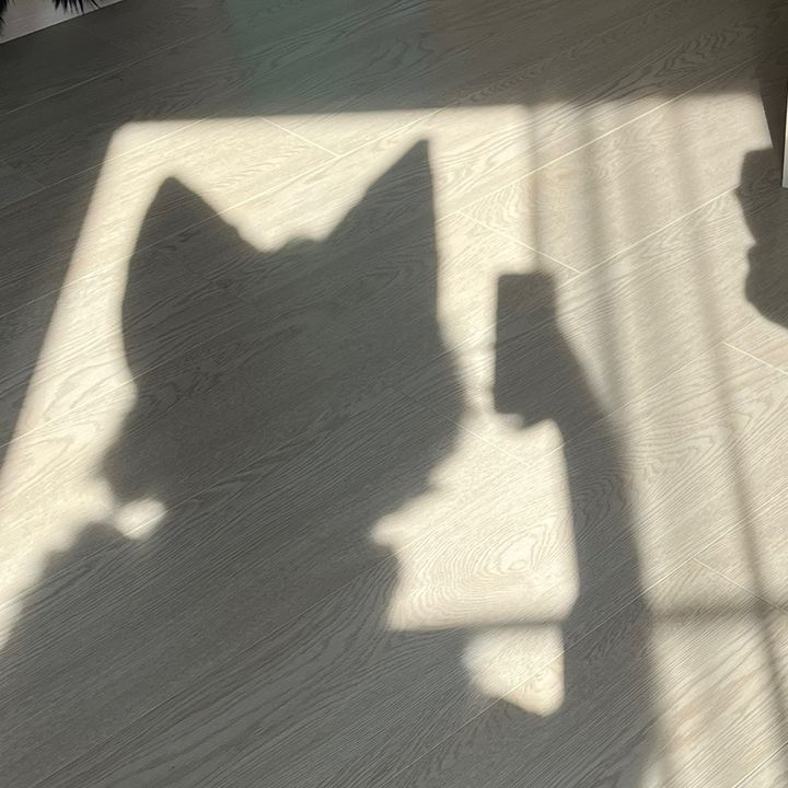 faster.wolf
