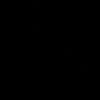 05.rinesaa