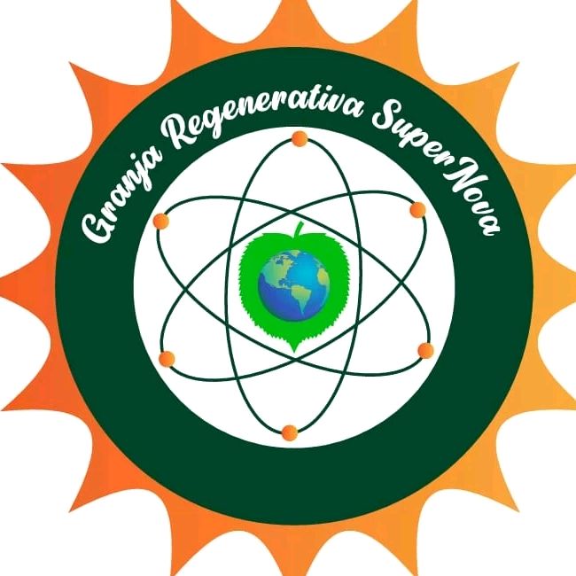 @supernovaregenerative