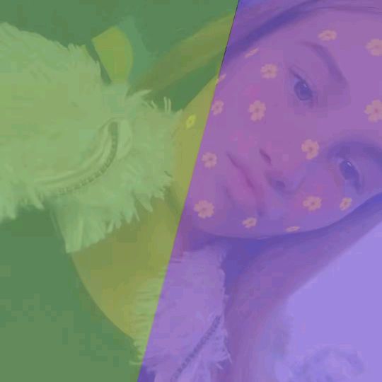 zozo.frt0103