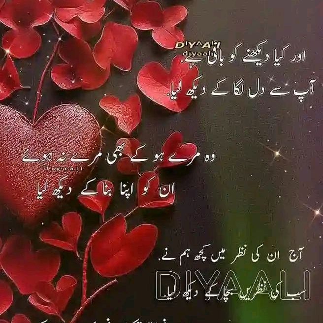 khan.11221395