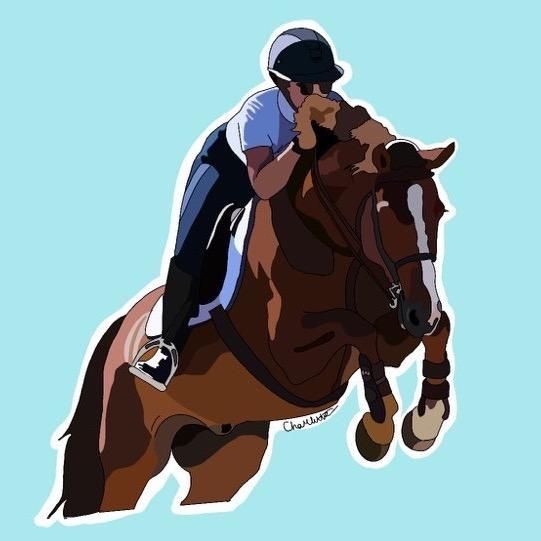 ff.sporthorses
