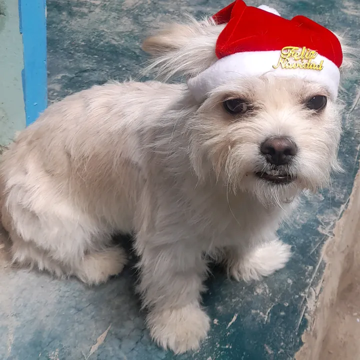 lalunita04