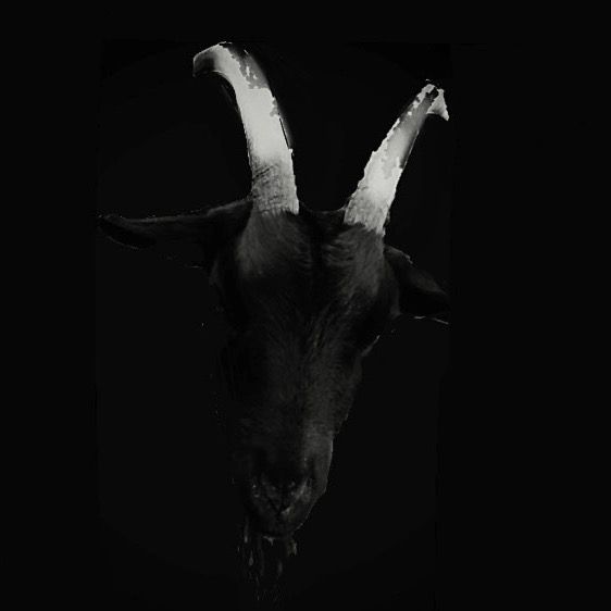 blackmetal.tiktok