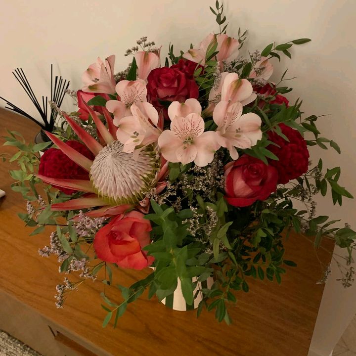 stella_linchem001