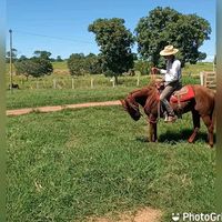 renatoaugustoempreitera