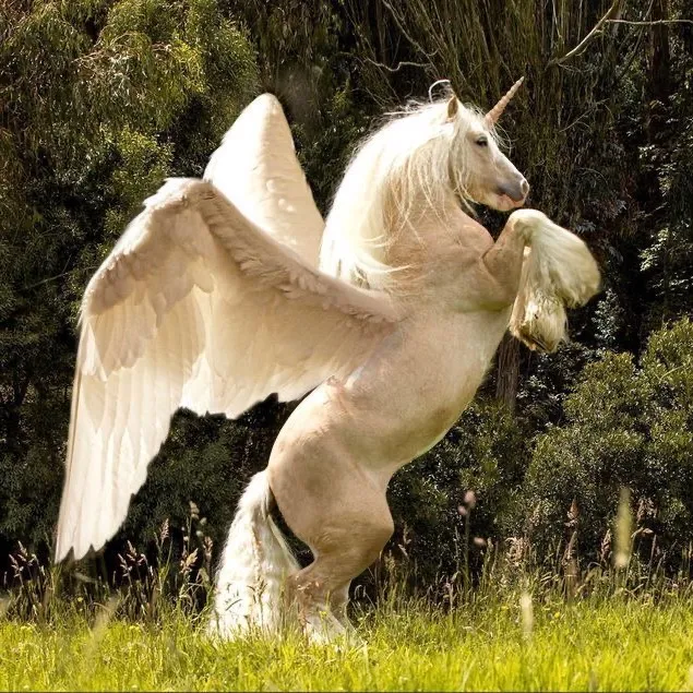 @fishnarcs