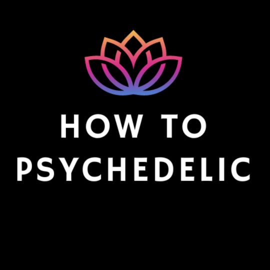 Psychedelic Integration Coach - original sound