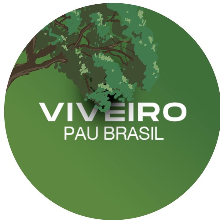 @viveiropaubrasil_