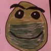 @v1r1dis