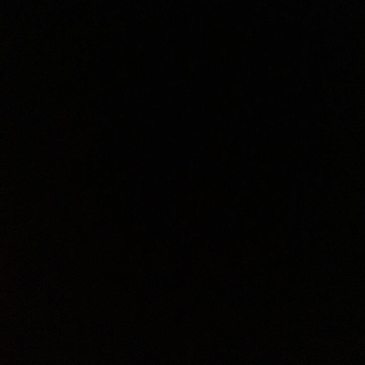bunny_rblxx