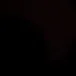 d._ly