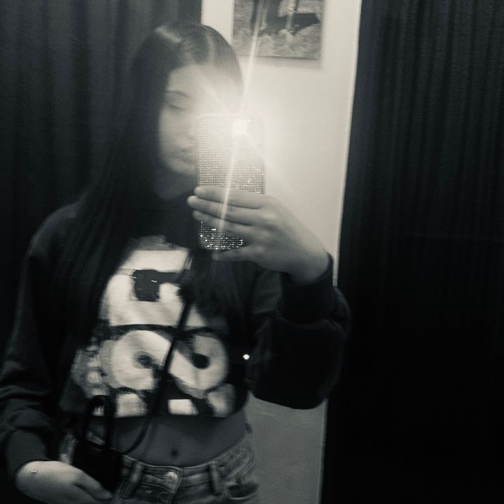 fefe_insaa