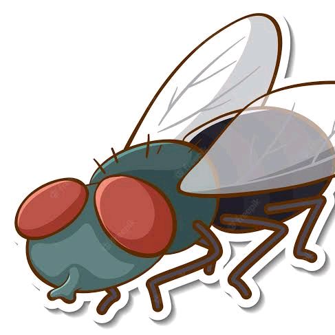 mosca_gd