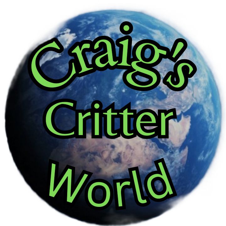 craigscritterworld1